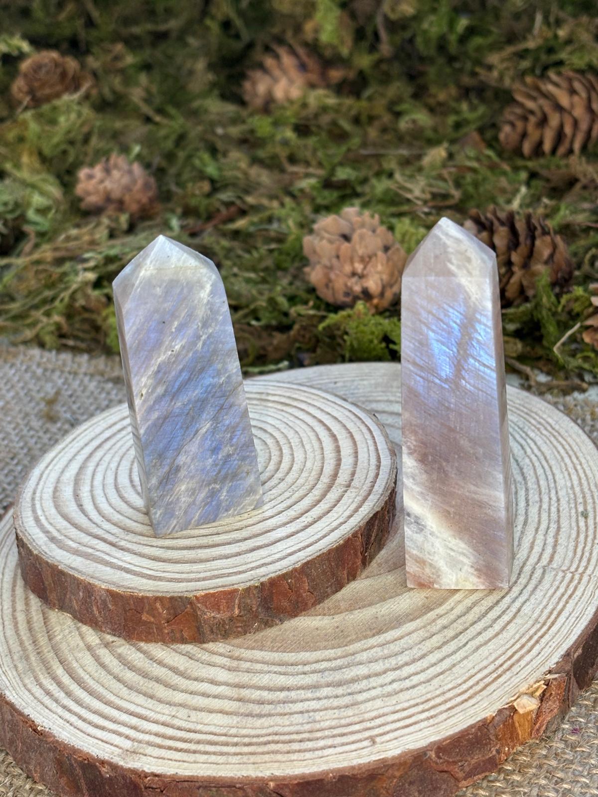 WhatsApp Image 2025-02-25 à 10.23.40_669e503b