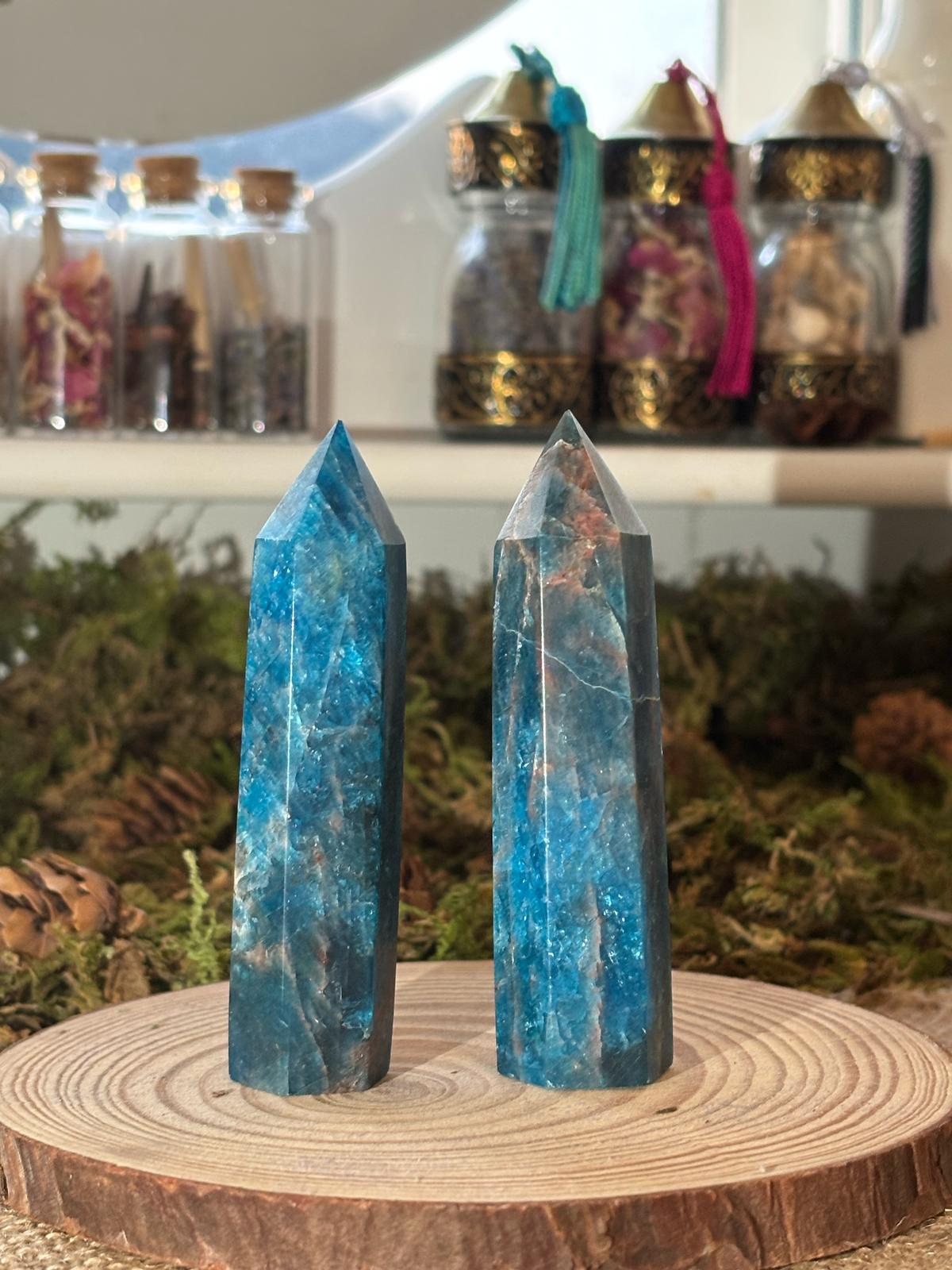 WhatsApp Image 2025-02-25 à 10.04.41_dab04ce0