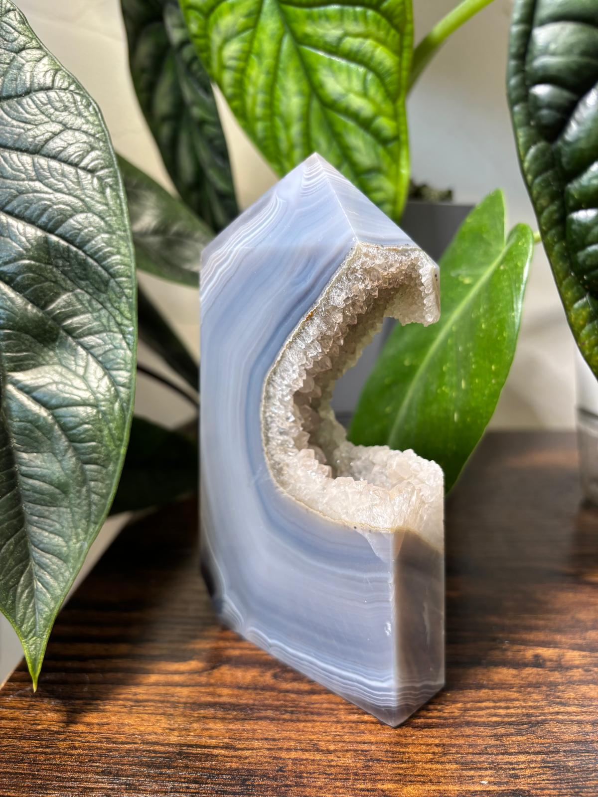 WhatsApp Image 2025-02-25 à 14.03.41_509388f5