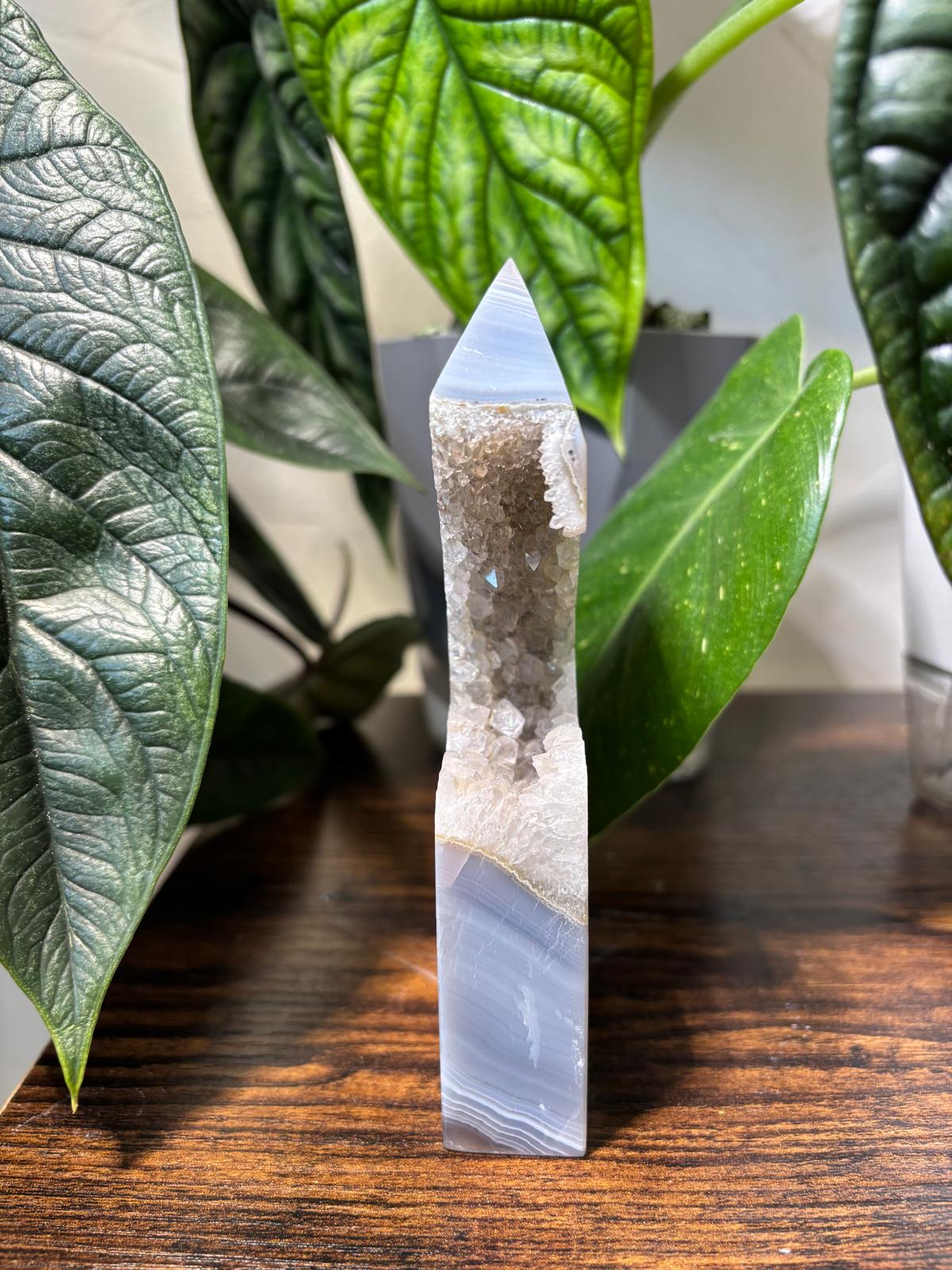 WhatsApp Image 2025-02-25 à 14.03.41_afa5b4b8