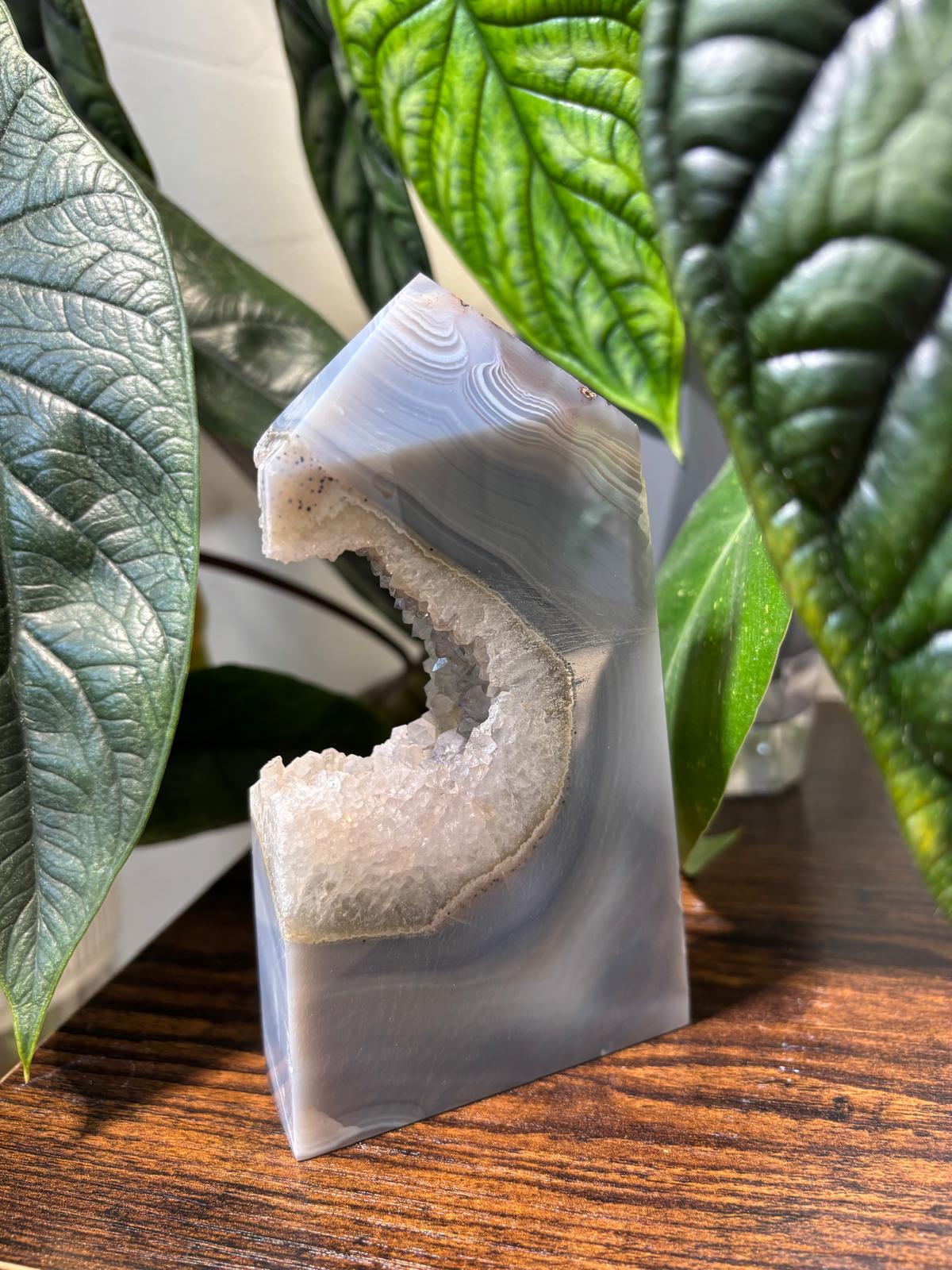 WhatsApp Image 2025-02-25 à 14.03.41_dc90b48c