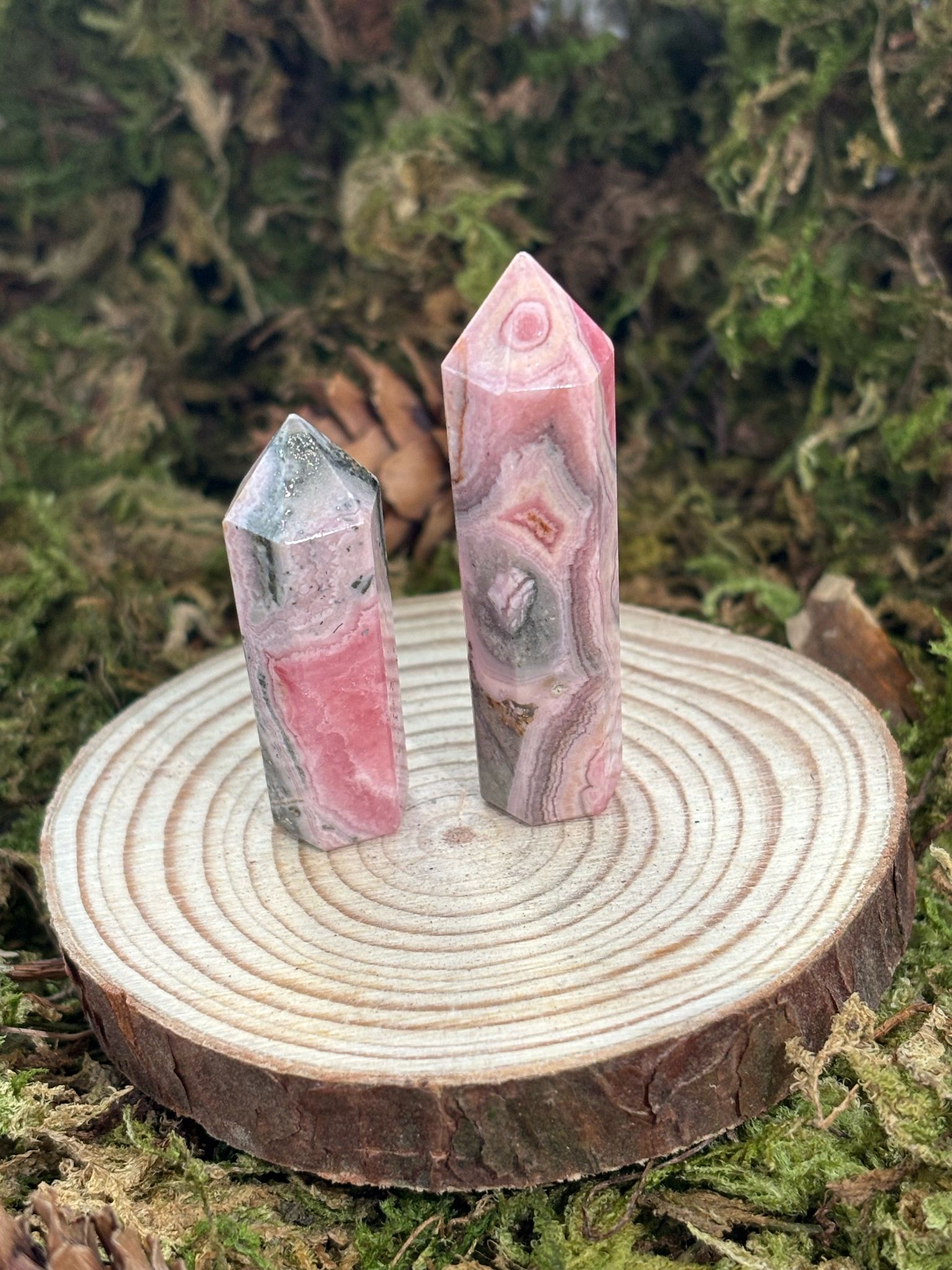 WhatsApp Image 2025-02-25 à 14.27.18_e028e53c