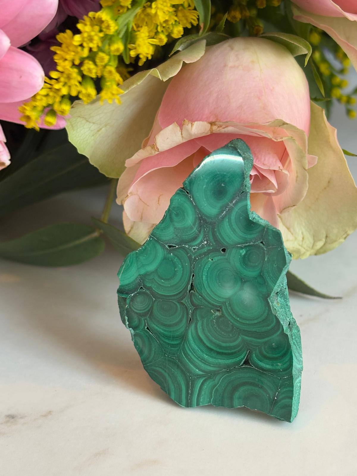 WhatsApp Image 2025-02-25 à 16.00.37_071fe9b4