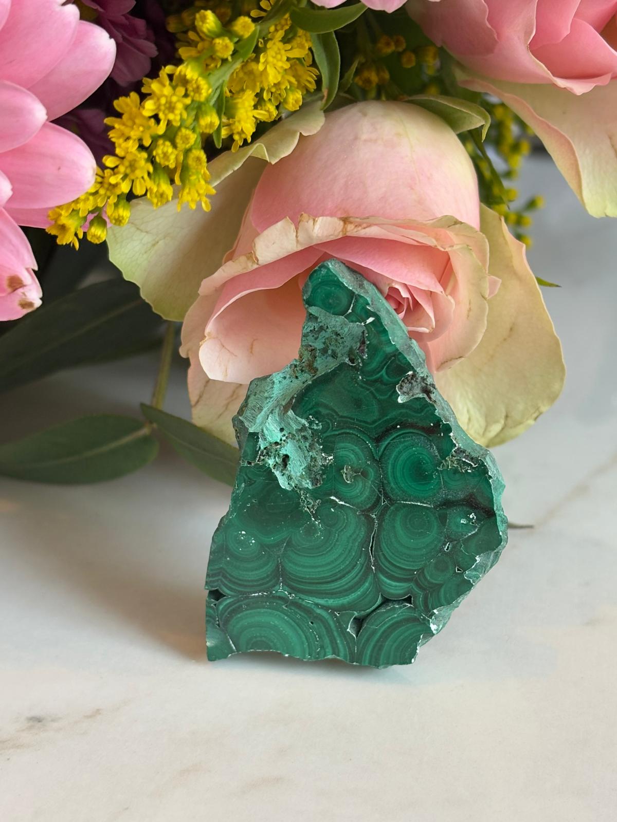 WhatsApp Image 2025-02-25 à 16.00.37_e3800ffc