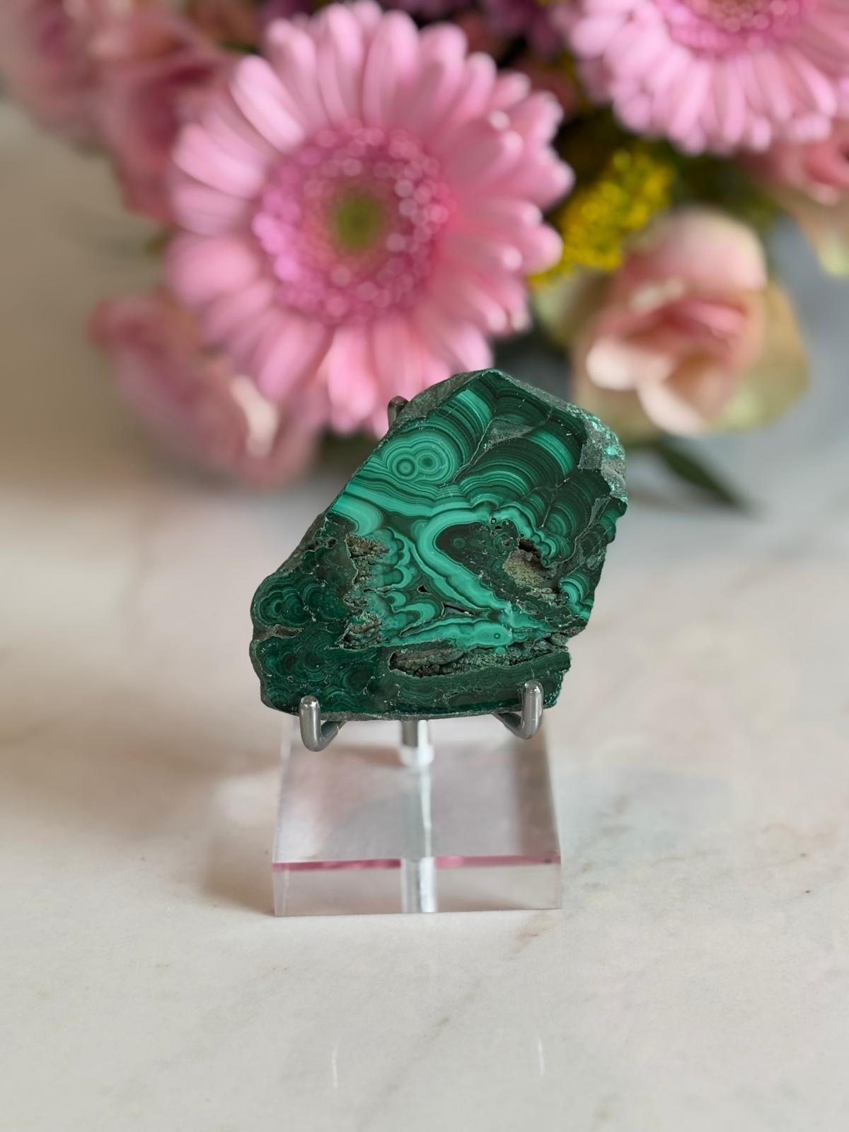 WhatsApp Image 2025-02-25 à 16.16.36_4d0b8a35