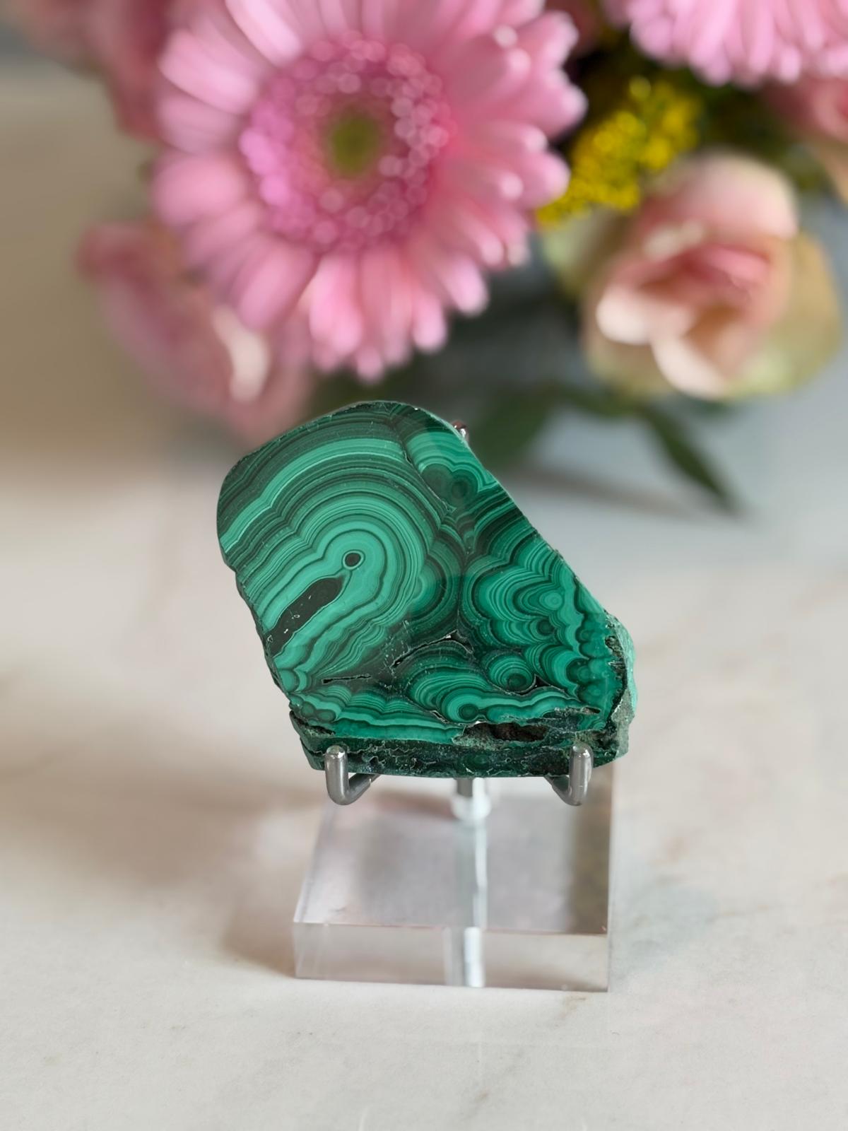 WhatsApp Image 2025-02-25 à 16.16.36_8e9be66b