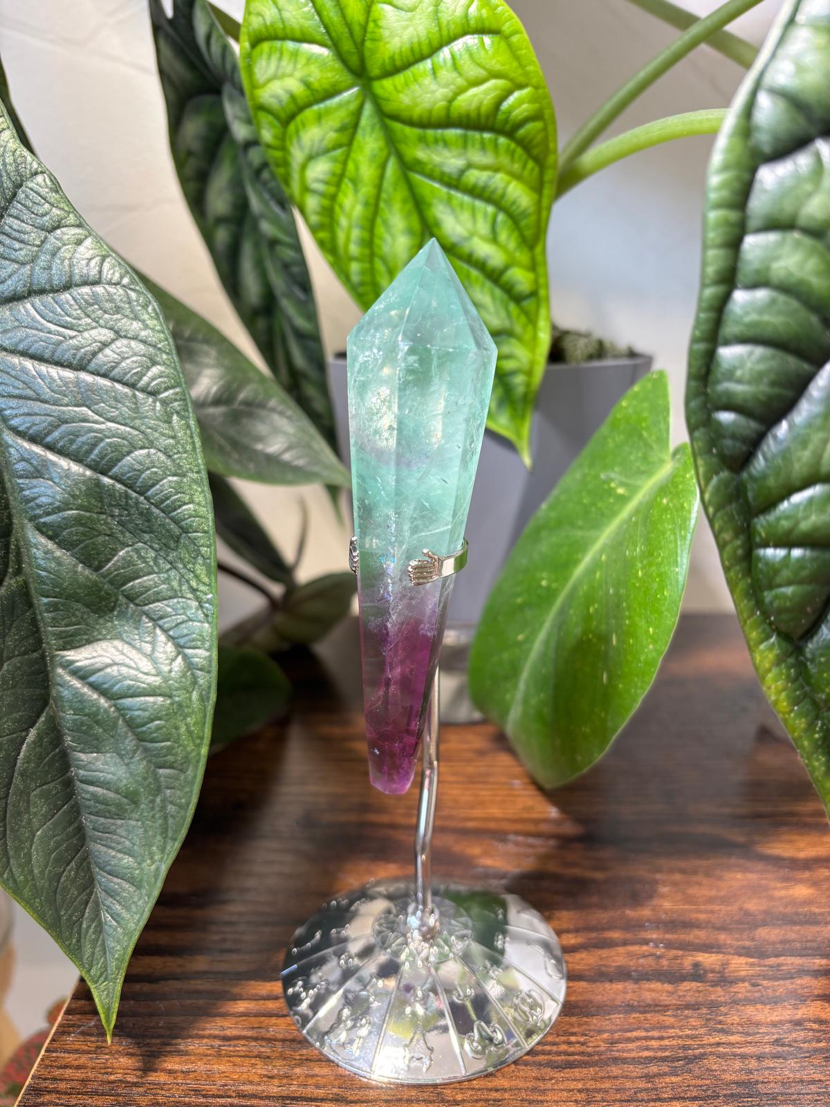 WhatsApp Image 2025-02-25 à 16.56.54_113194d4