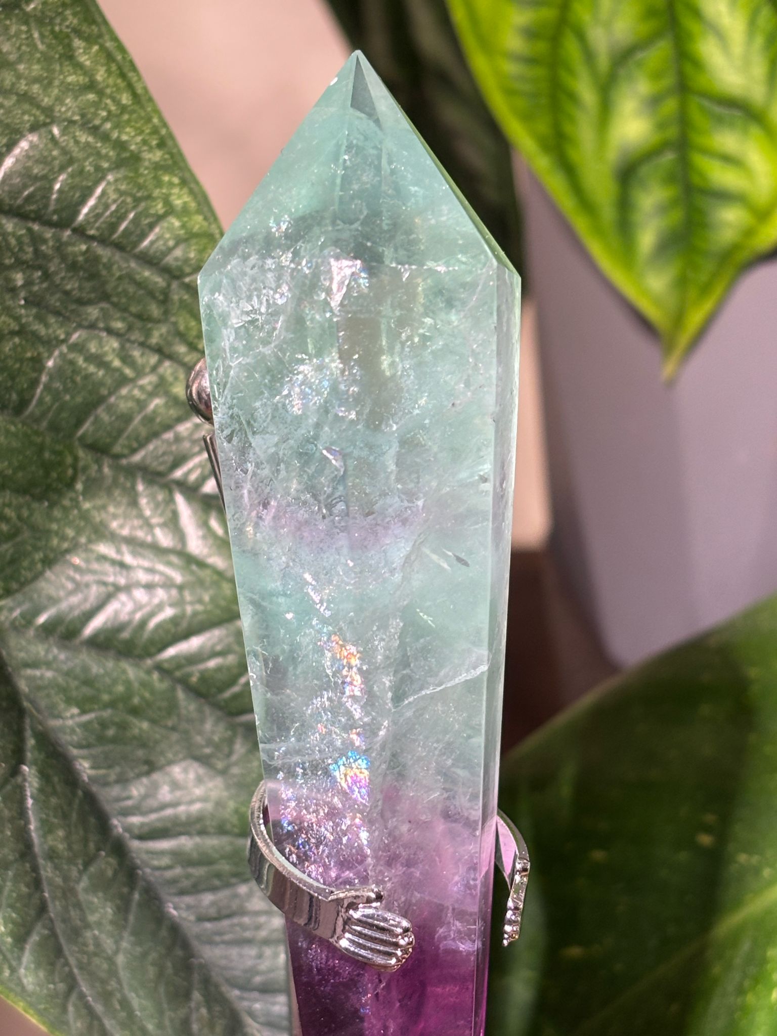 WhatsApp Image 2025-02-25 à 17.21.27_9f5781bb