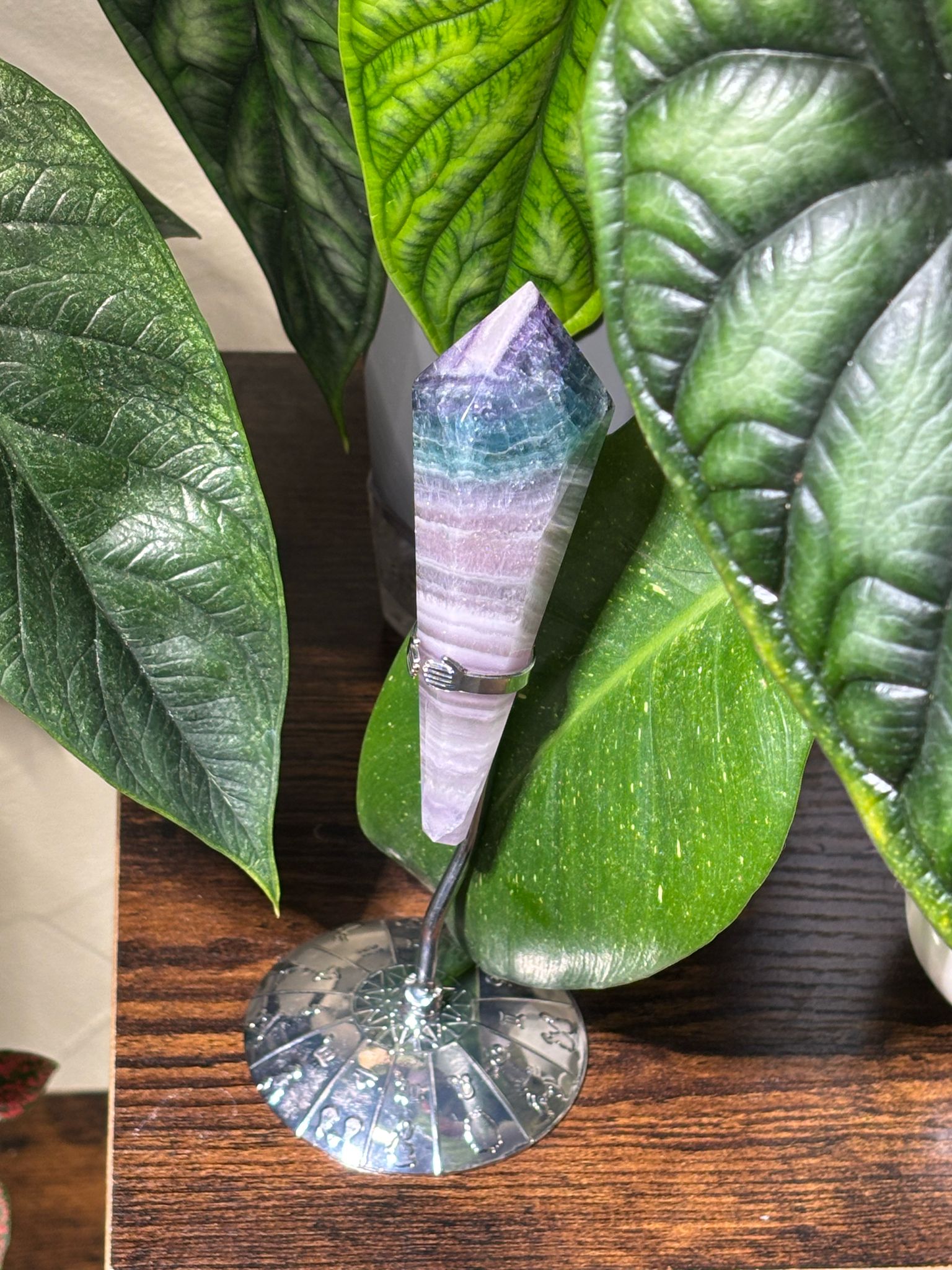 WhatsApp Image 2025-02-25 à 17.38.15_0e38b0b0