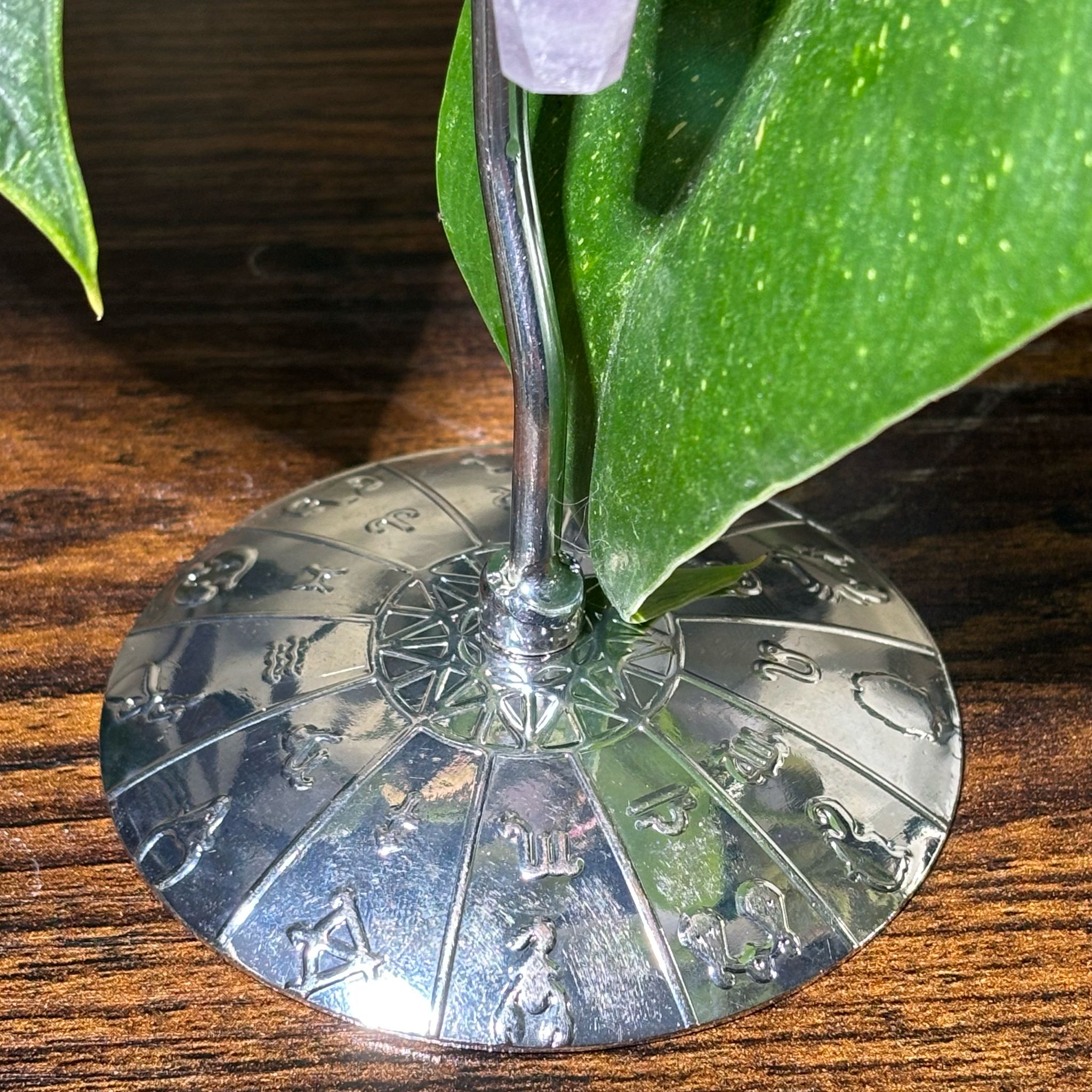 WhatsApp Image 2025-02-25 à 17.38.16_7af41ec0