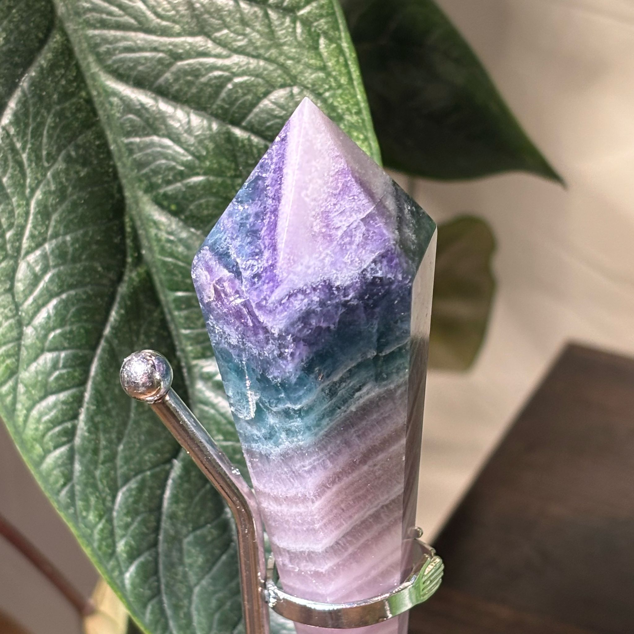 WhatsApp Image 2025-02-25 à 17.38.16_b02fc963