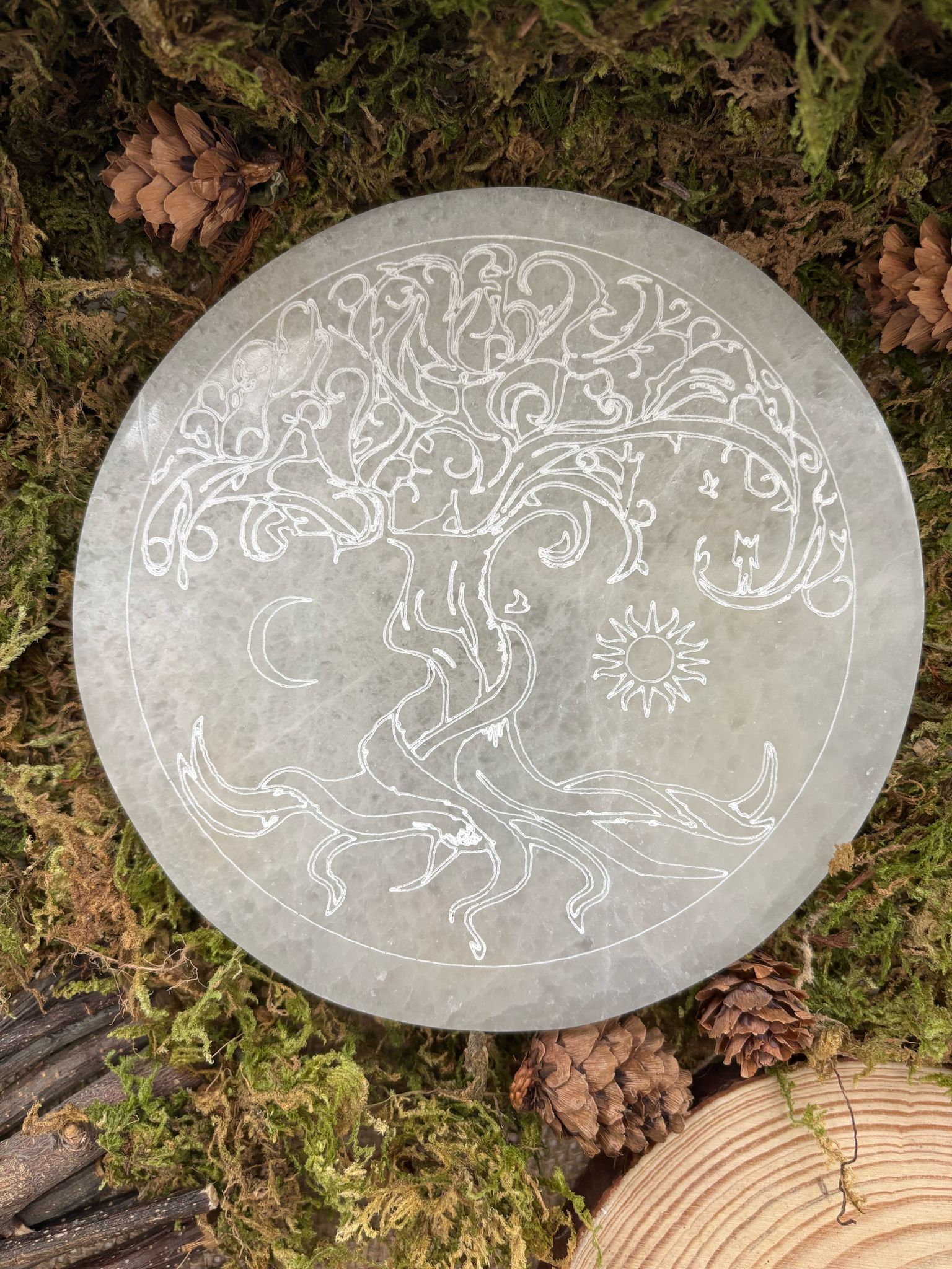 WhatsApp Image 2025-02-26 à 14.49.45_76419a08