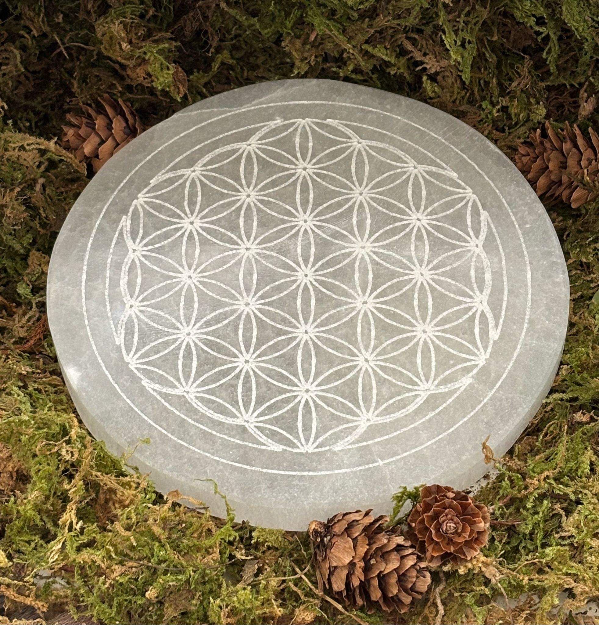 WhatsApp Image 2025-02-26 à 14.49.46_69d12c40