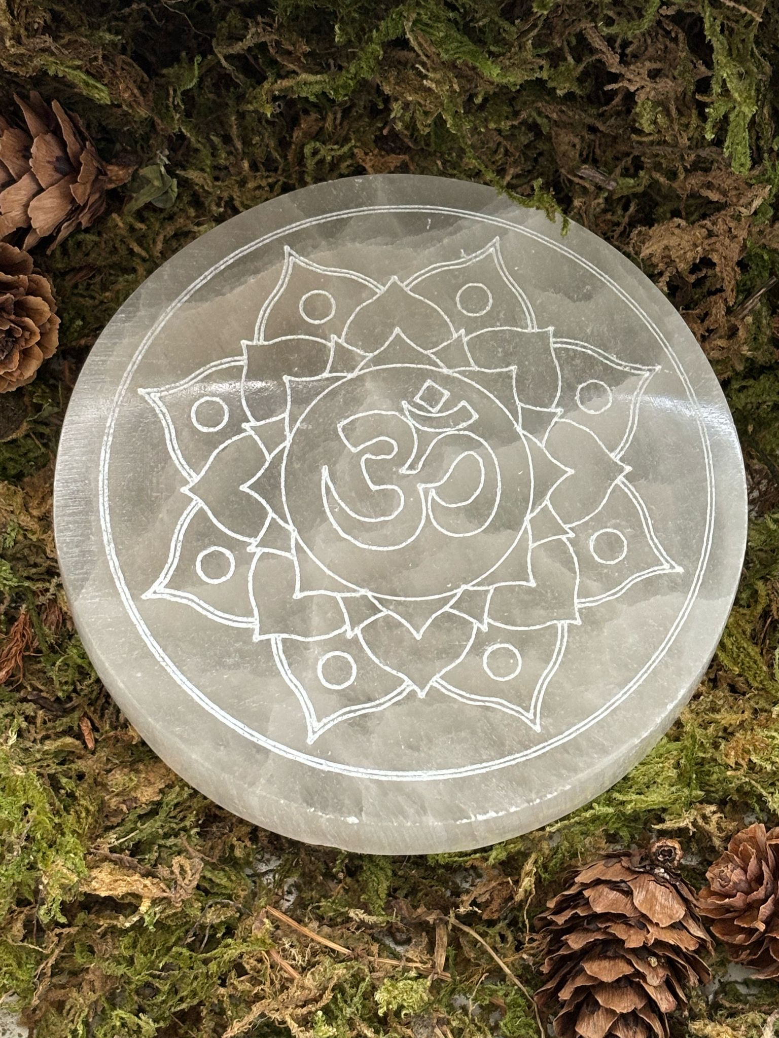 WhatsApp Image 2025-02-26 à 14.49.47_31510c18