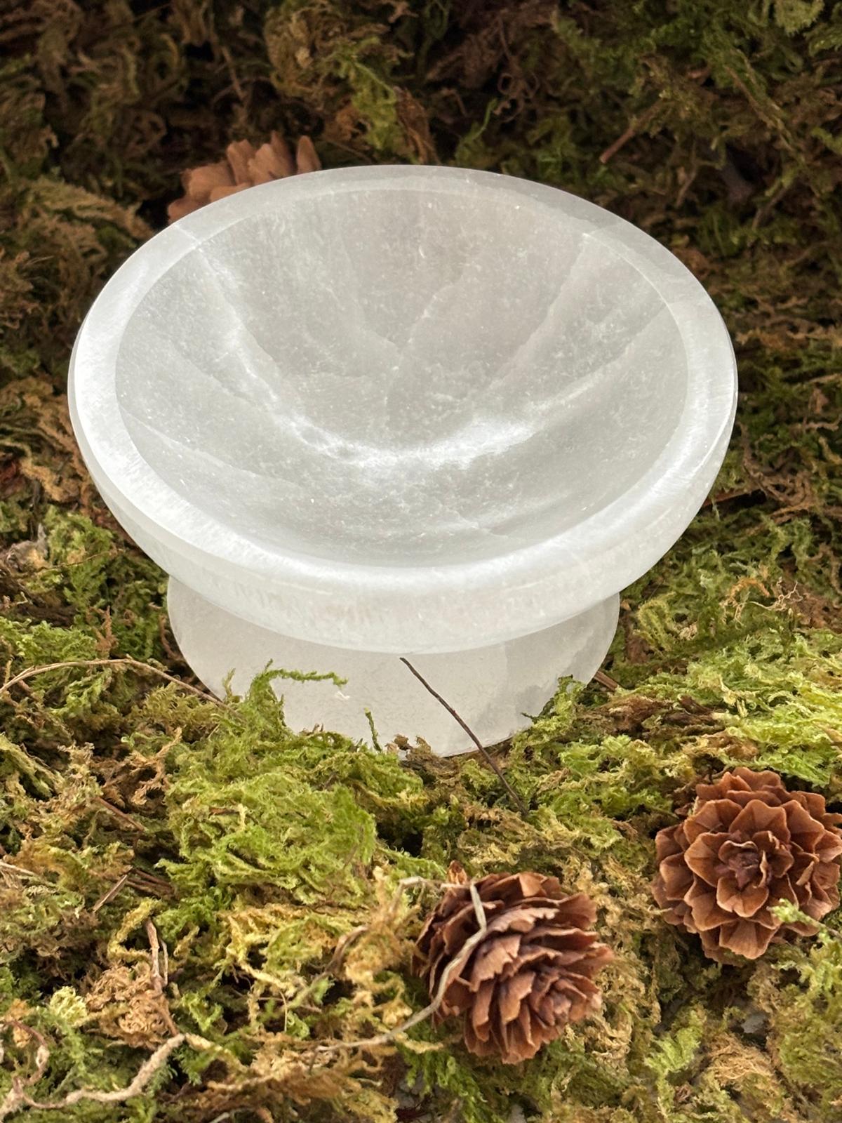 WhatsApp Image 2025-02-26 à 16.12.54_3e726a2a