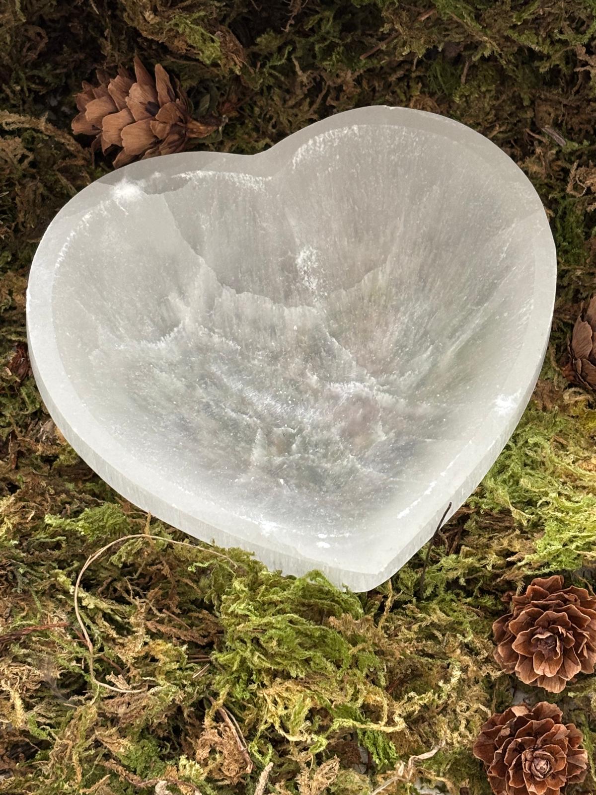 WhatsApp Image 2025-02-26 à 16.12.54_d40d44d2