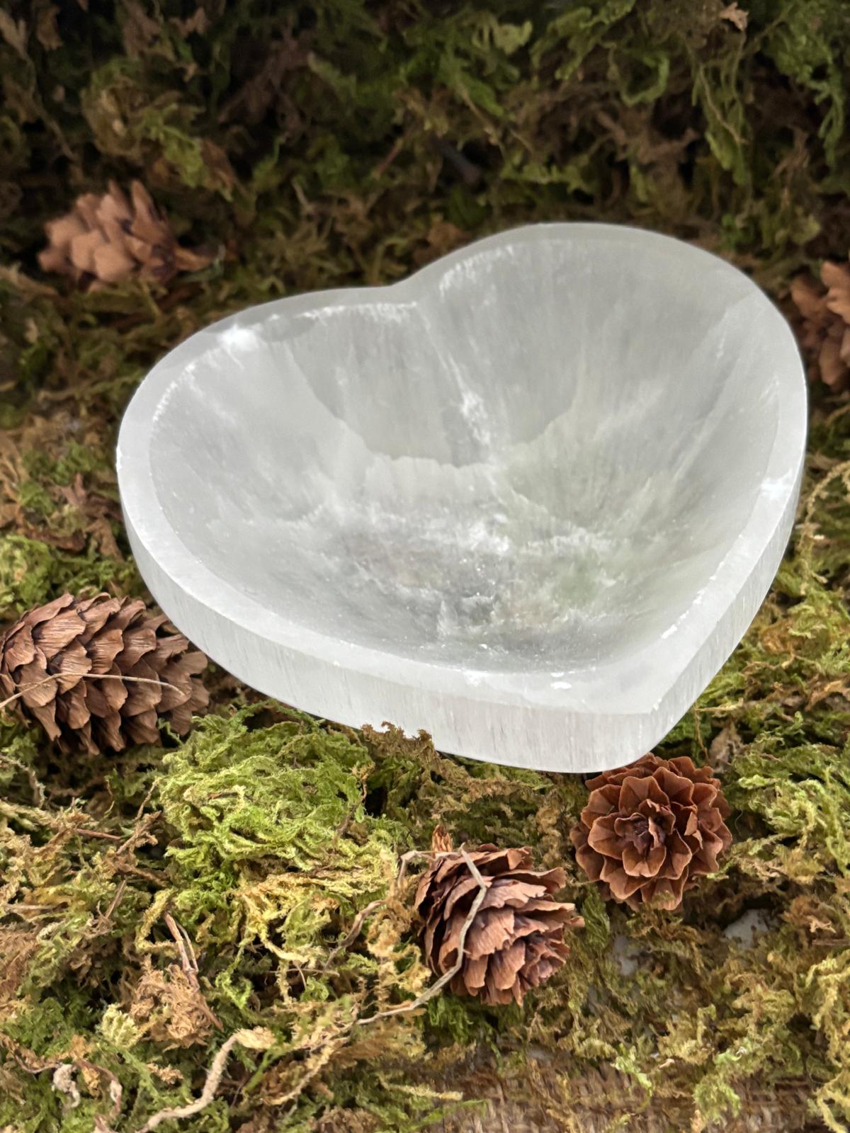 WhatsApp Image 2025-02-26 à 16.14.13_63ee38eb