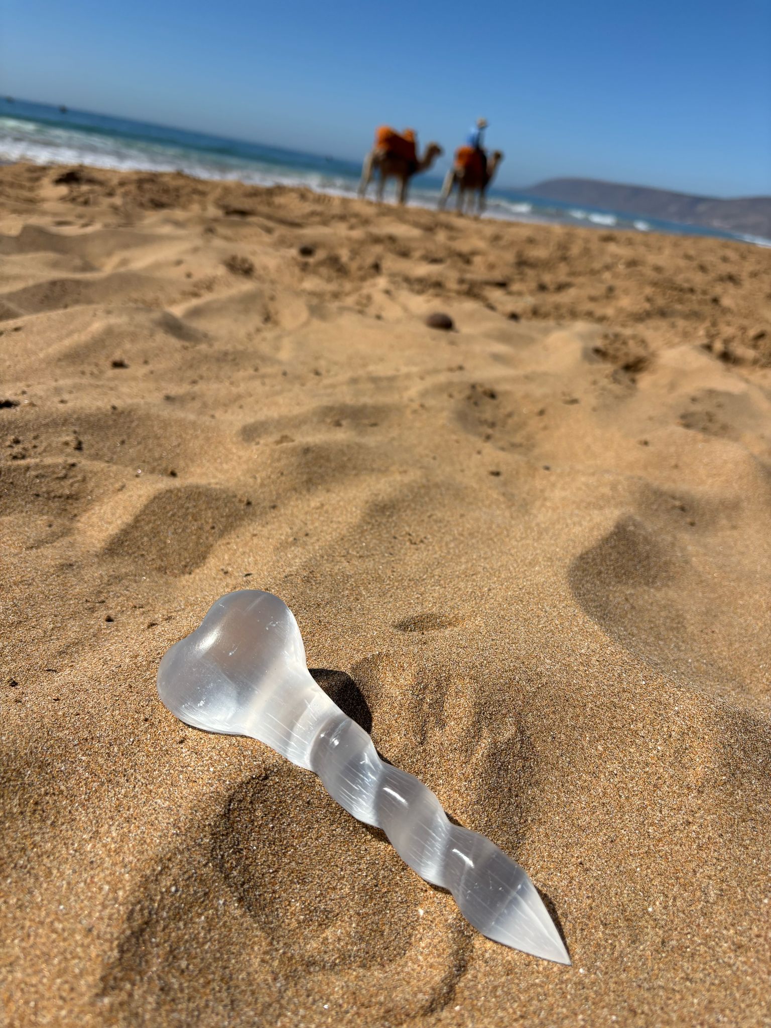 WhatsApp Image 2025-02-26 à 17.24.30_c208acd8