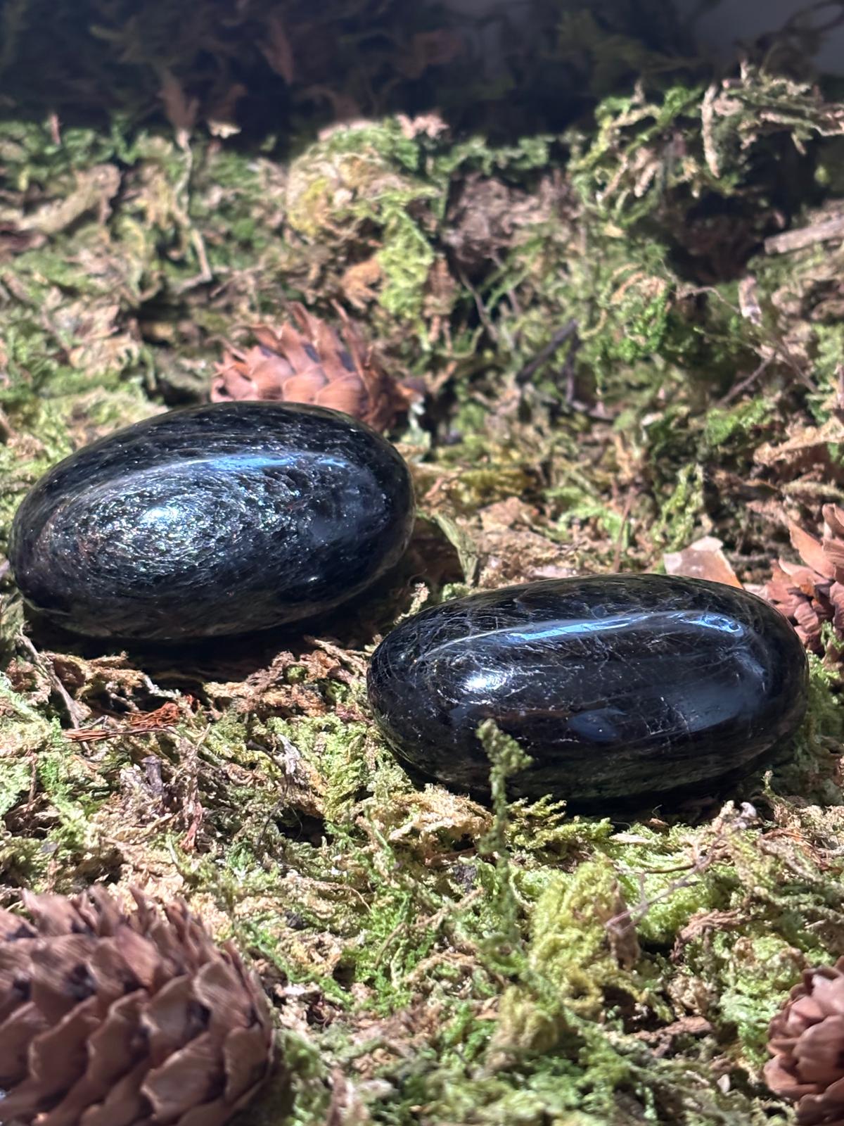 WhatsApp Image 2025-02-27 à 15.11.58_ff26a767