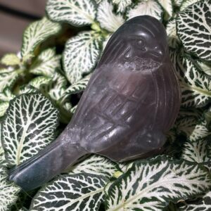 Oiseau, Fluorine Druzy