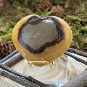 Coeur en Septaria + Support