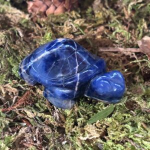 Tortue, Sodalite