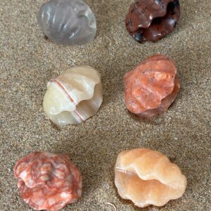 Coquillage – Choisissez votre pierre parmi 6 variétés