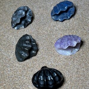 Coquillage – Choisissez votre pierre parmi 5 variétés
