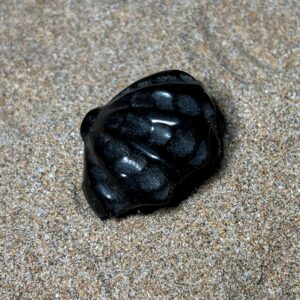 Coquillage – Choisissez votre pierre parmi 5 variétés - Obsidienne noire