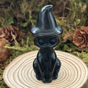 Chat Sorcier, Obsidienne Noire
