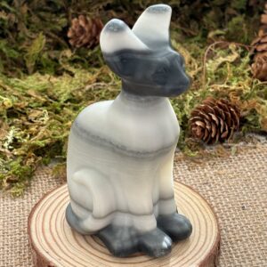 Chat Sphynx, Tai Chi Stone
