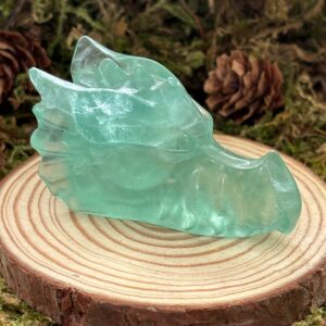 Tête de Dragon Fluorine Verte, Réactive aux UV