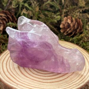 Tête de Dragon Fluorine Violette, Réactive aux UV