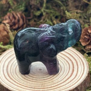 Eléphant, Fluorine