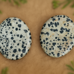 Galet Anti-Stress (Worry Stone) Jaspe Dalmatien
