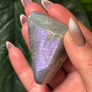 Labradorite Violette, forme libre
