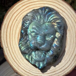 Lion, Labradorite