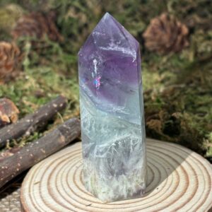 Pointe Fluorine Plume Verte & Violette, Réactive aux UV