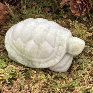 Tortue, Jade Citron