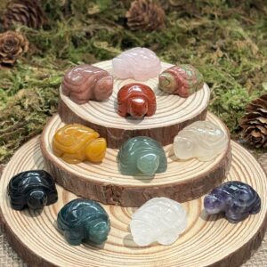 Mini Tortue – Choisissez votre pierre parmi 11 variétés