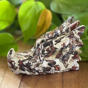 Tête de Dragon, Money Agate