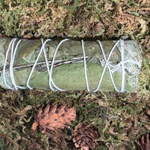 Fagot d’Eucalyptus