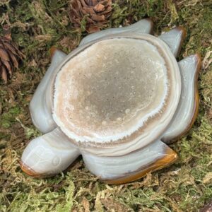 Tortue Agate Druzy
