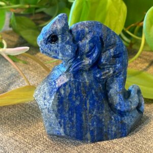 Caméléon, Lapis-Lazuli