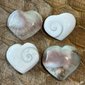 Coeur Œil de Shiva (Œil de Sainte-Lucie)