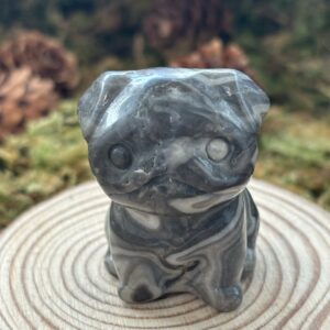 Chien Bulldog, Jaspe Picasso