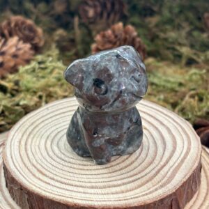 Chien Bulldog, Yooperlite, Réactif aux UV
