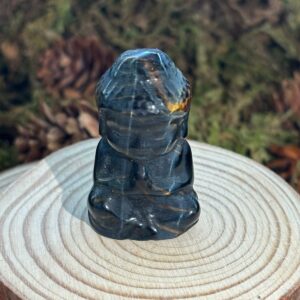 Bouddha, Oeil de Faucon