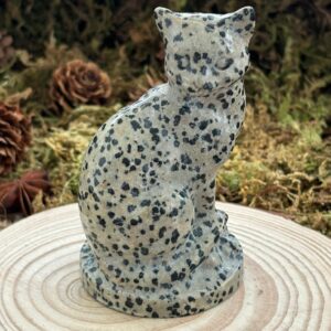 Chat, Jaspe Dalmatien
