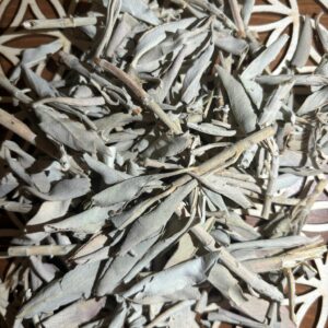 Sauge Blanche en Vrac – 25 g